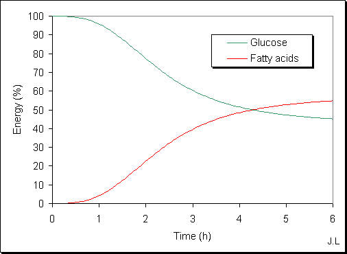 Energy produced by glucose and fatty acids