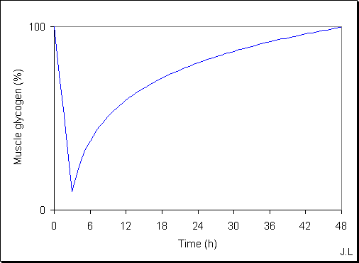 Consumption and regeneration of muscle glycogen