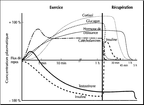 Hormonal production